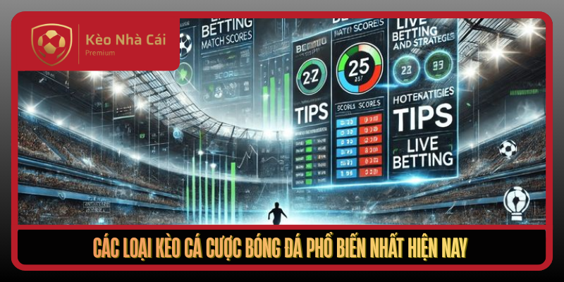 Kèo Nhà Cái tusjuegos - tỷ lệ kèo nhà cái, kèo nhà cái 5 uy tín 2026 3 Cac Loai Keo Ca Cuoc Bong Da Pho Bien Nhat Hien Nay1